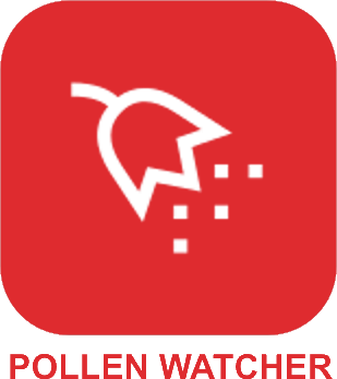 Surveillance Pollens